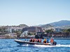 pozorovani_velryb_a_delfinu_klienti_madeira_spurek (2).jpg